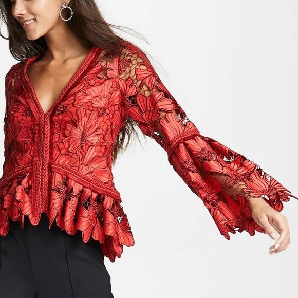 Alexis amazing Vinton V-Neck Lace Top XS NWOT - Picture 1 of 17